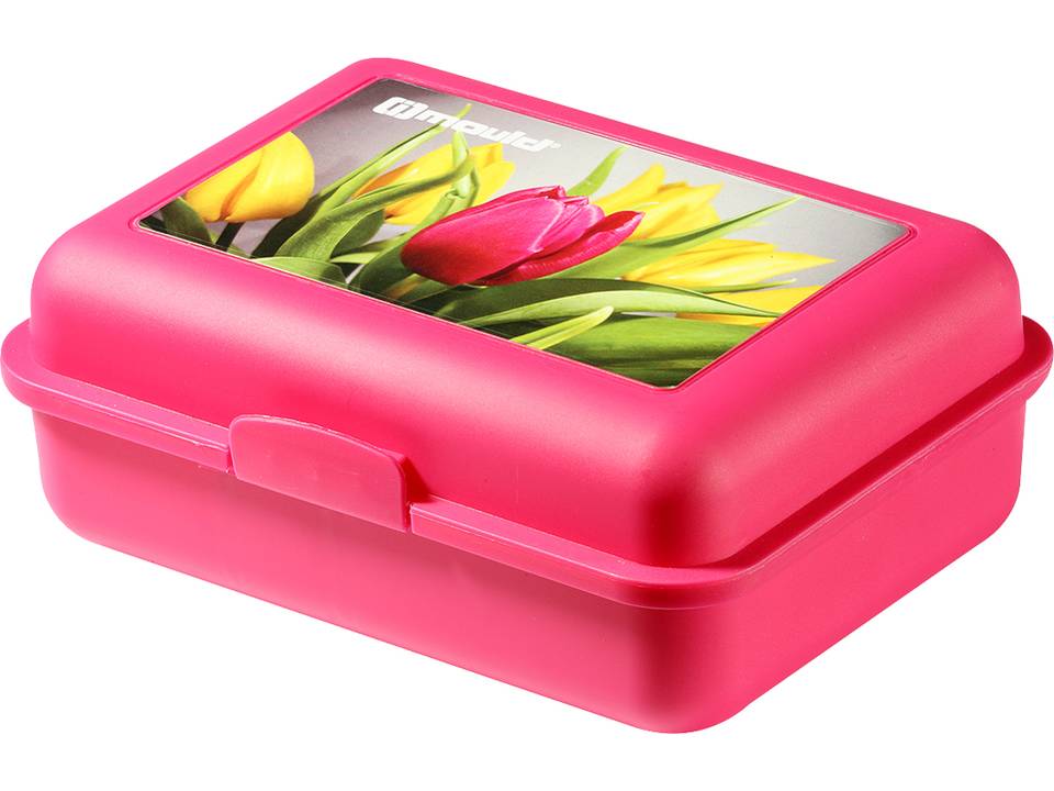 Lunchbox Schoolbox 13