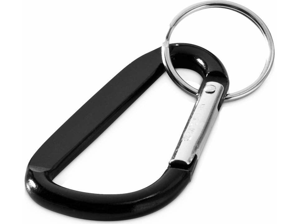 Carabiner key chain 6