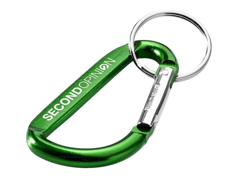 Carabiner key chain 1