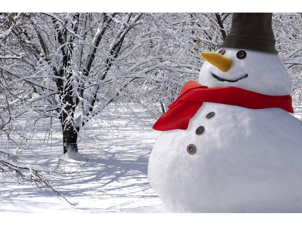 Snowman set in a bag 2