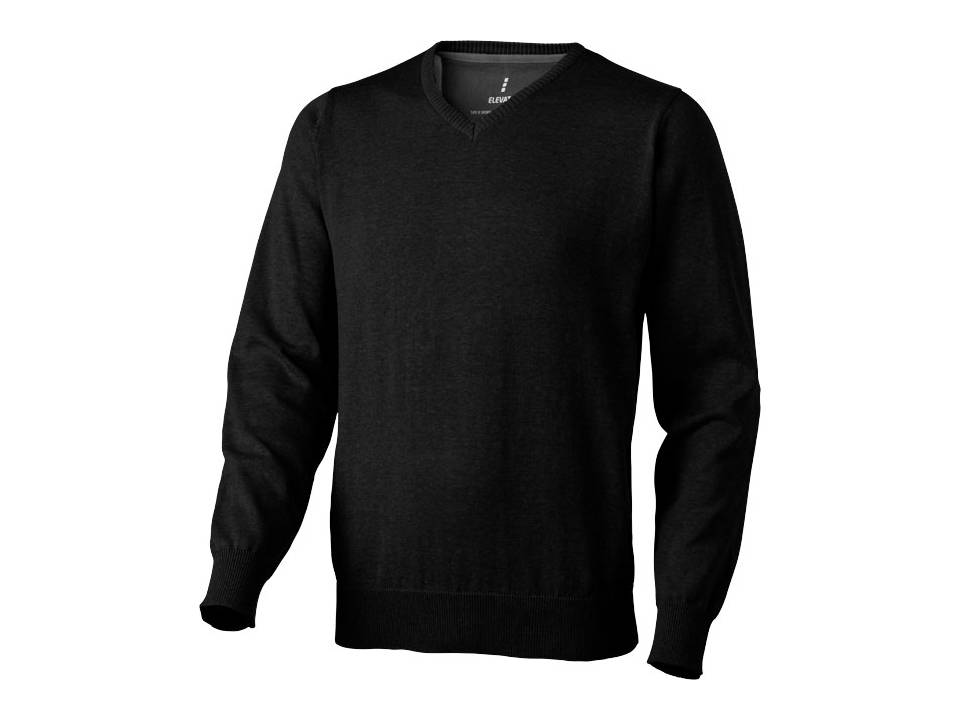 Spruce V-neck Pullover 2