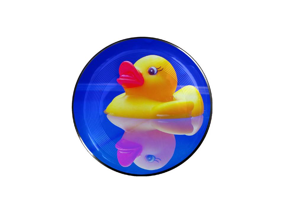 Space Flyer Frisbee 5