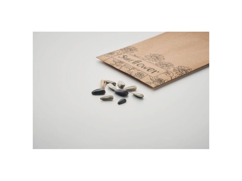 Sunflower seeds in envelope 2