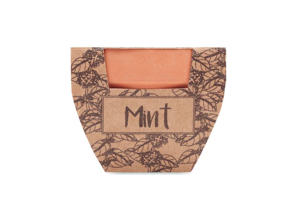 Terracotta pot mint seeds 1