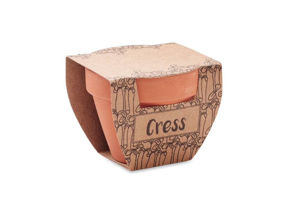 Terracotta pot cress seeds 2