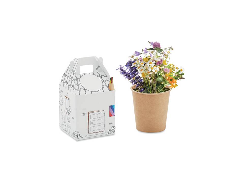 House shaped seeds grow set 1