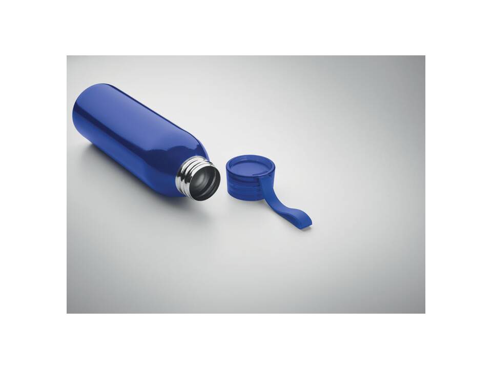 Stainless steel bottle 650ml 10