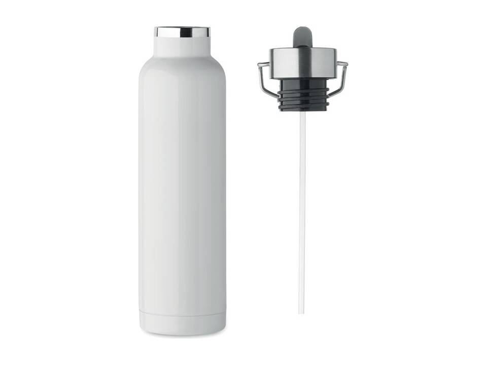 Double wall bottle 660 ml 10