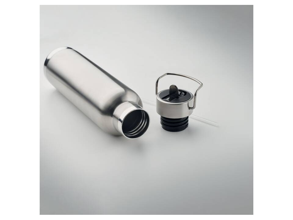 Double wall bottle 660 ml 12