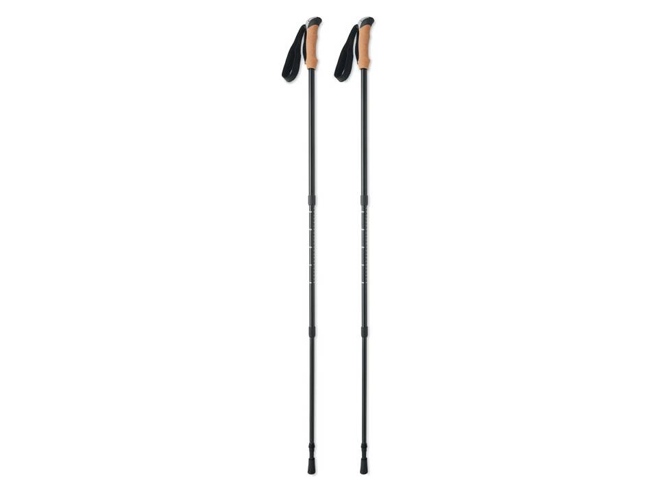 Nordic walking poles 1