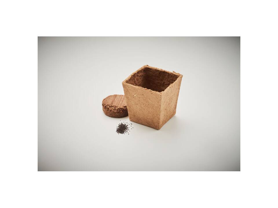 Mint seeds growing kit 7