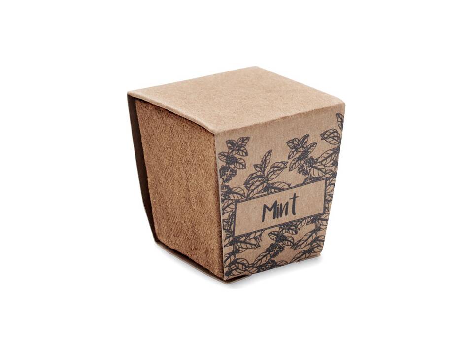 Mint seeds growing kit 2