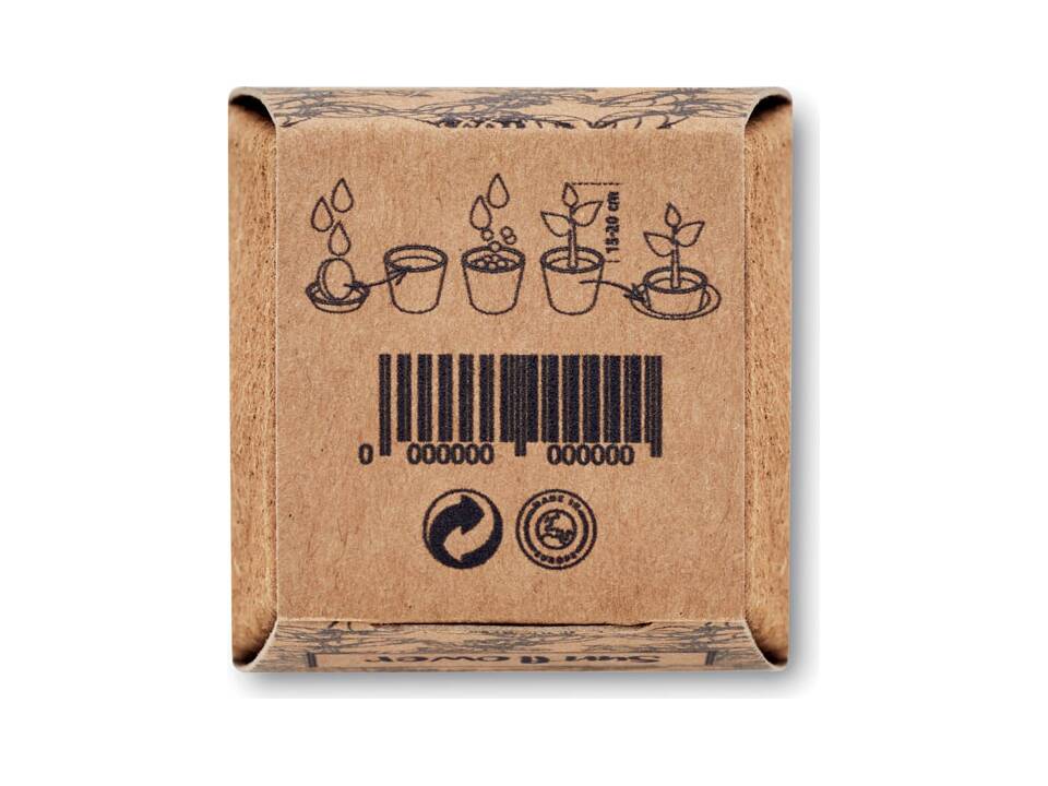 Sunflower growing kit 6