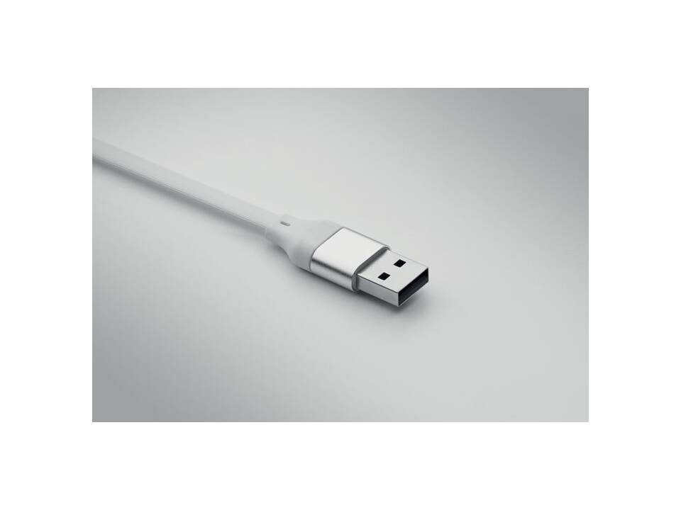 60W cable keyring recycled ABS 10