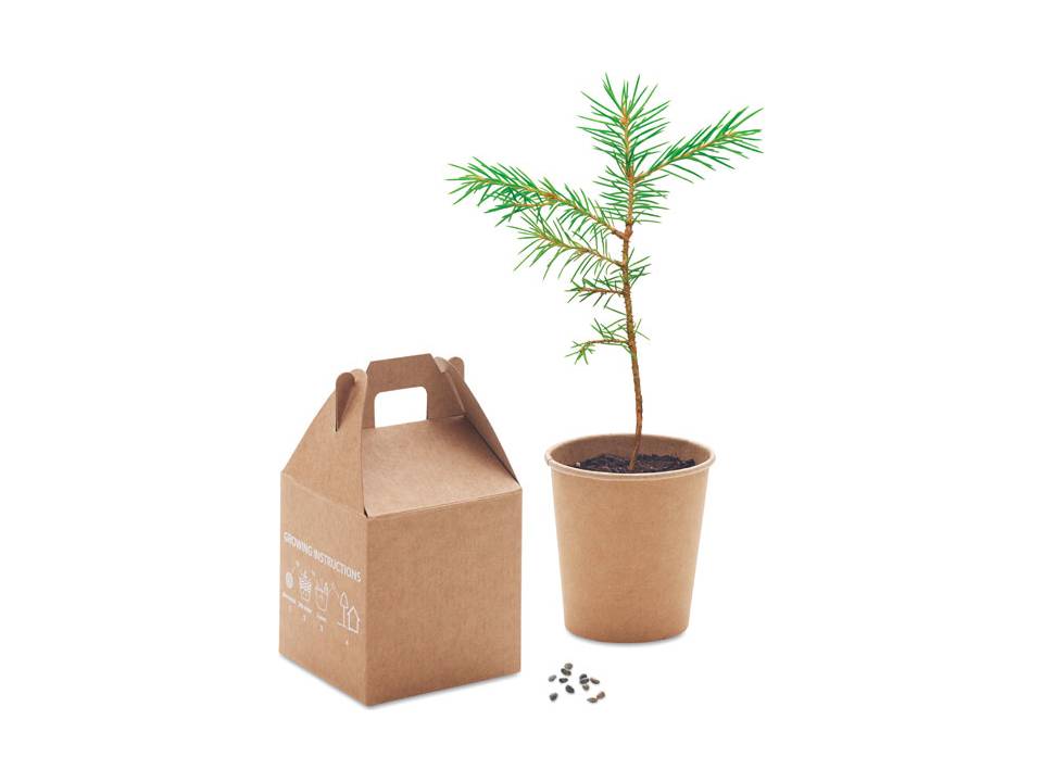 Pine tree set 4