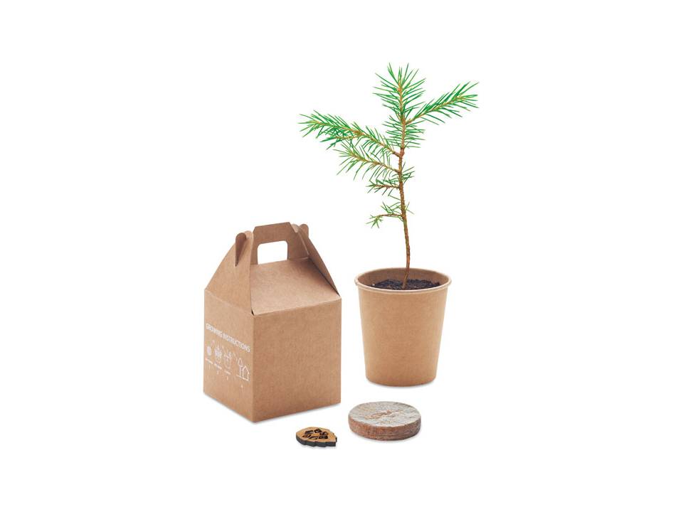 Pine tree set 3