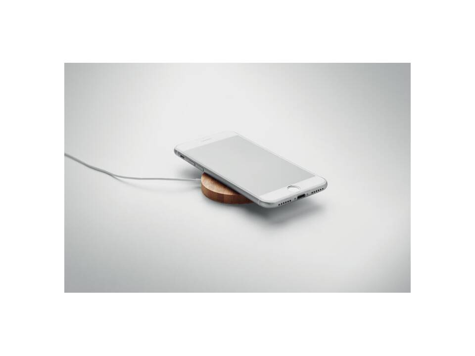 Portable magnetic charger 3