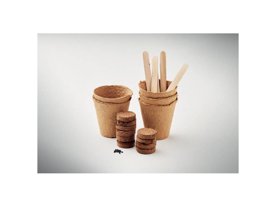 Flowers growing kit 3