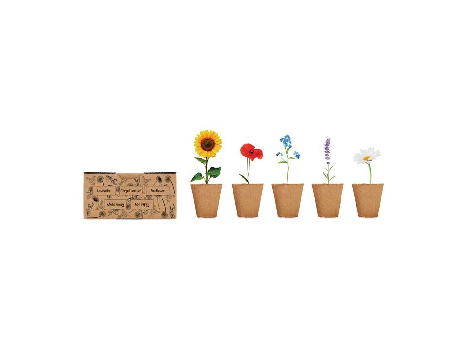 Flowers growing kit 2