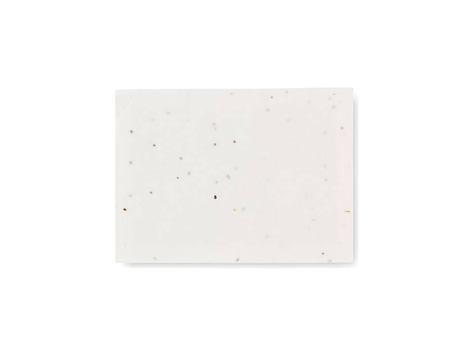 Seed paper memo pad 6