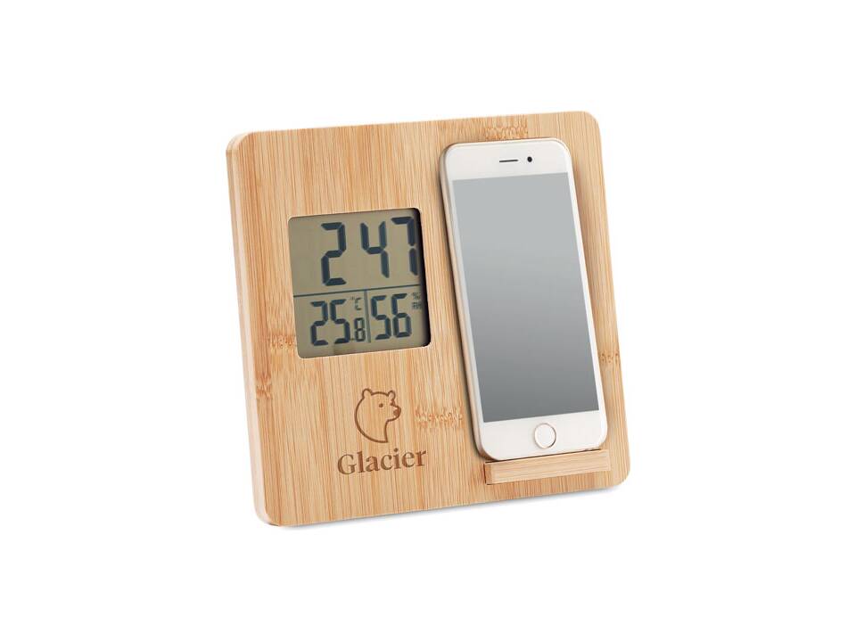 Bamboo weather station 3