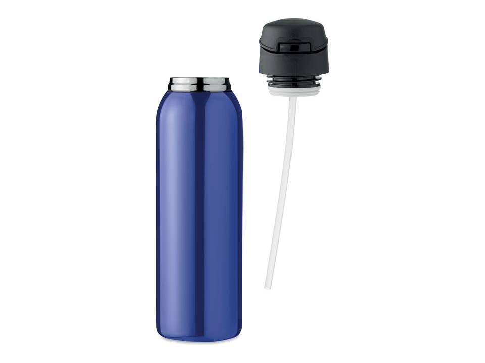Double wall bottle 580 ml 3