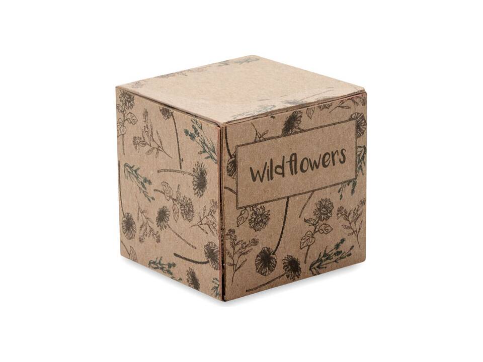 Seed bomb growing kit 3