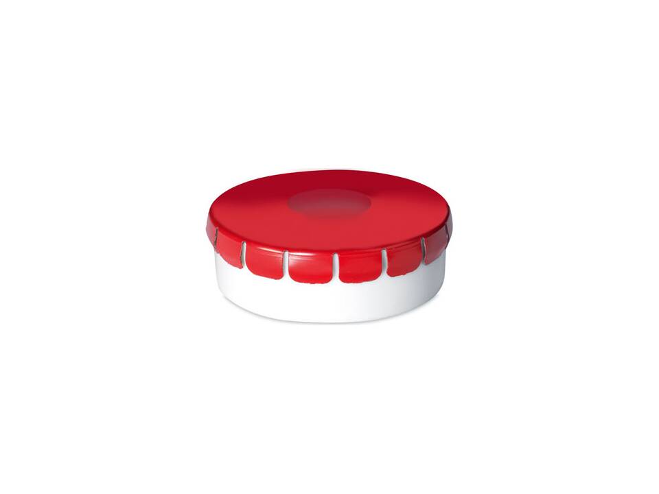 Sugar free mint box 10 gr 3