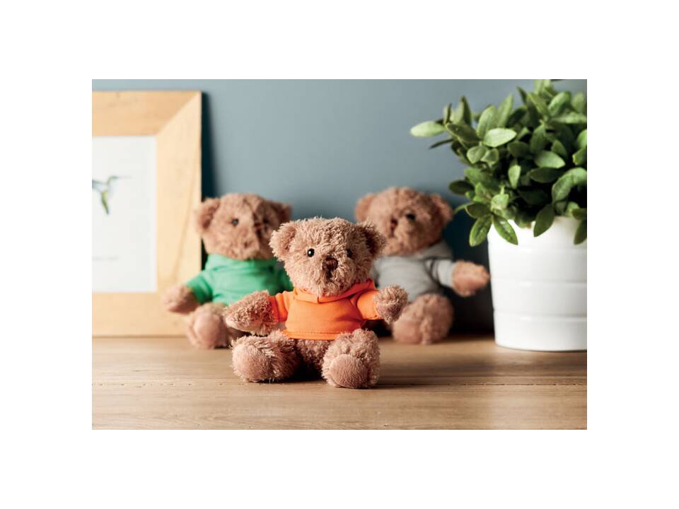 Teddy bear with sweater 11