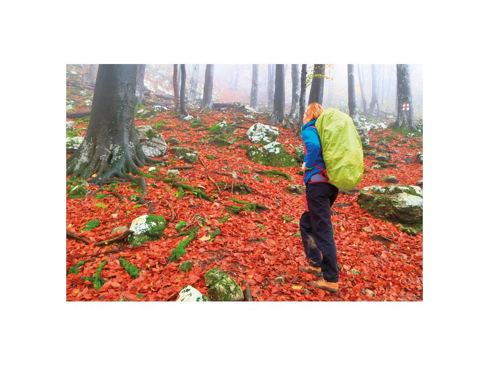 Foldable backpack cover 3