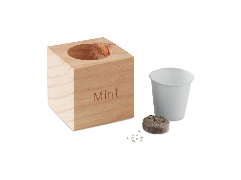 Menta Herb pot 1