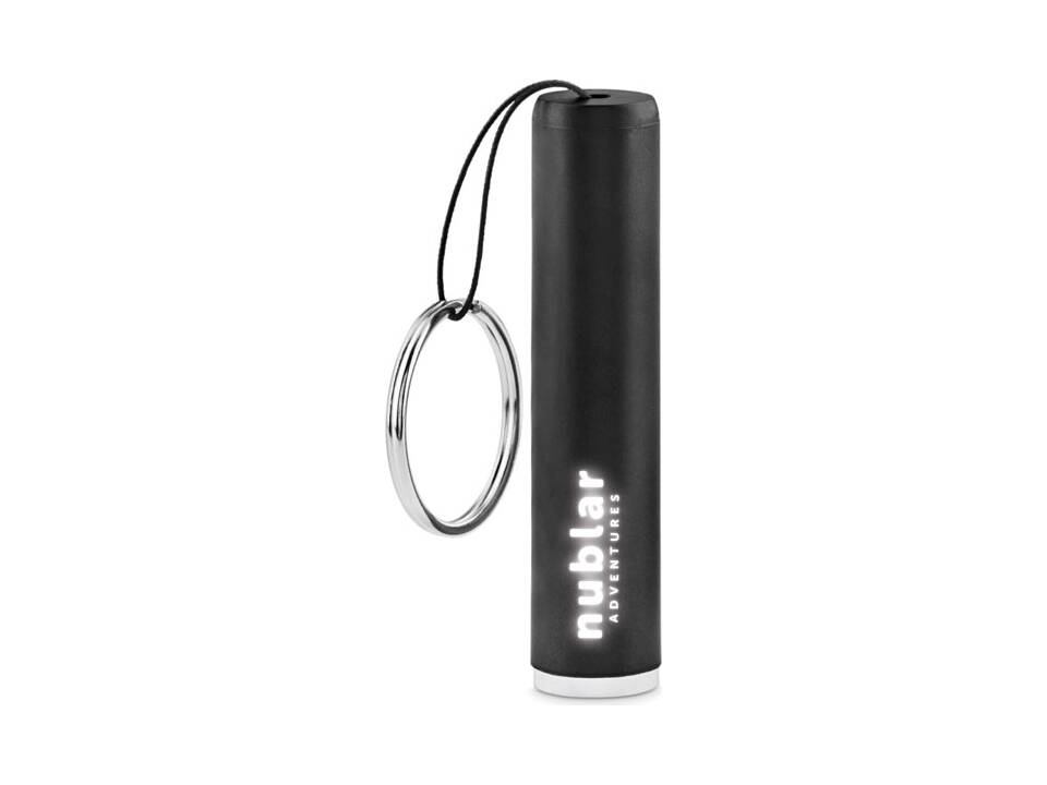 Plastic light up logo torch