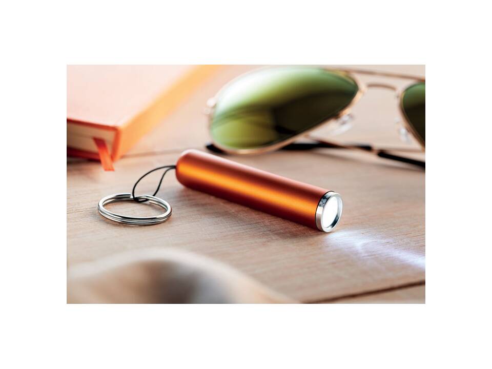 Plastic light up logo torch 10