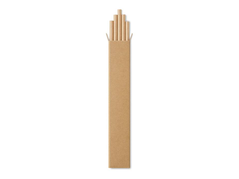 Set of 10 paper straws 1