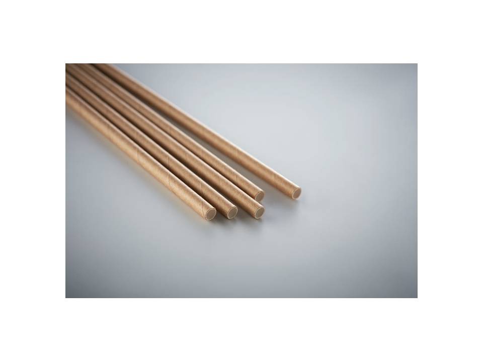 Set of 10 paper straws 2