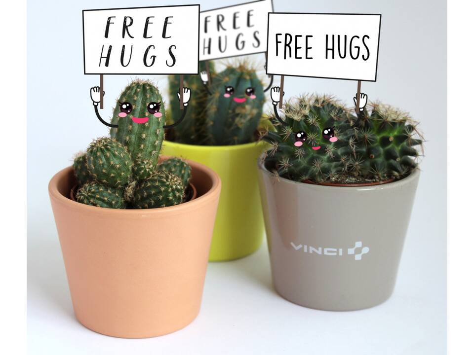 Mini plant in a ceramic pot 1