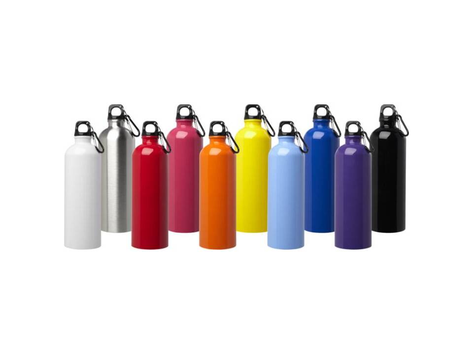 Oregon 750 ml RCS certified single wall stainless steel water bottle with carabiner