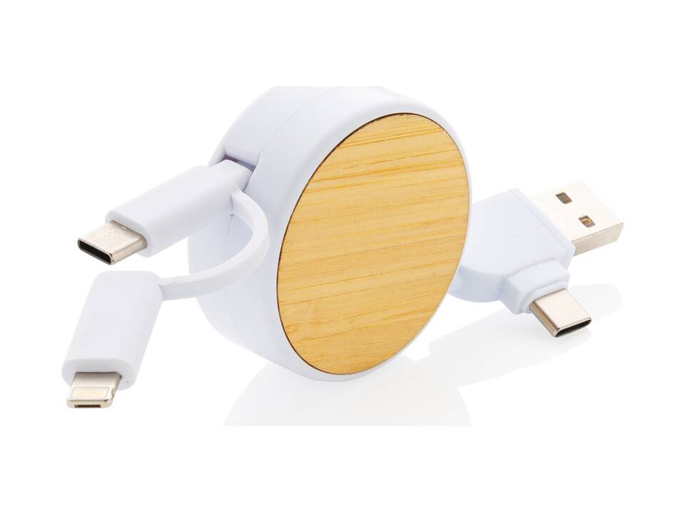 RCS recycled plastic Ontario 6-in-1 retractable cable 5