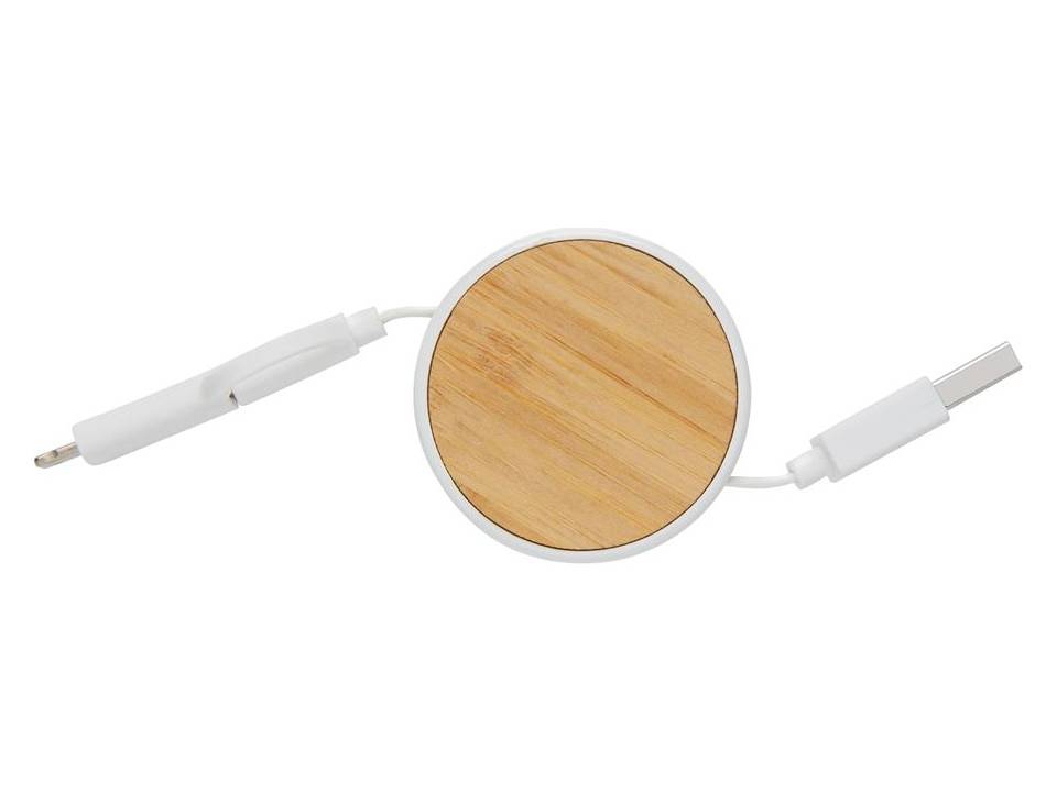 Ontario 3-in-1 retractable cable 1