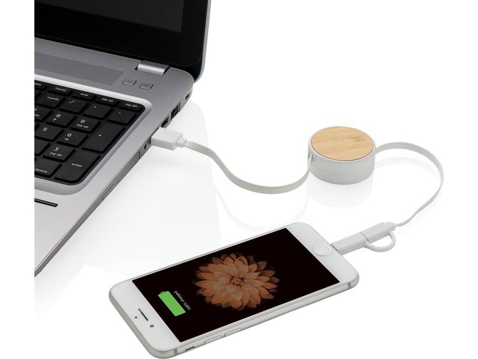 Ontario 3-in-1 retractable cable 5