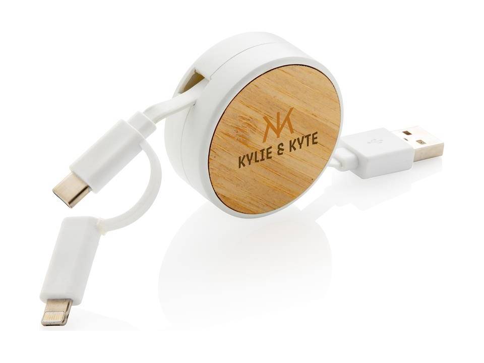 Ontario 3-in-1 retractable cable 3