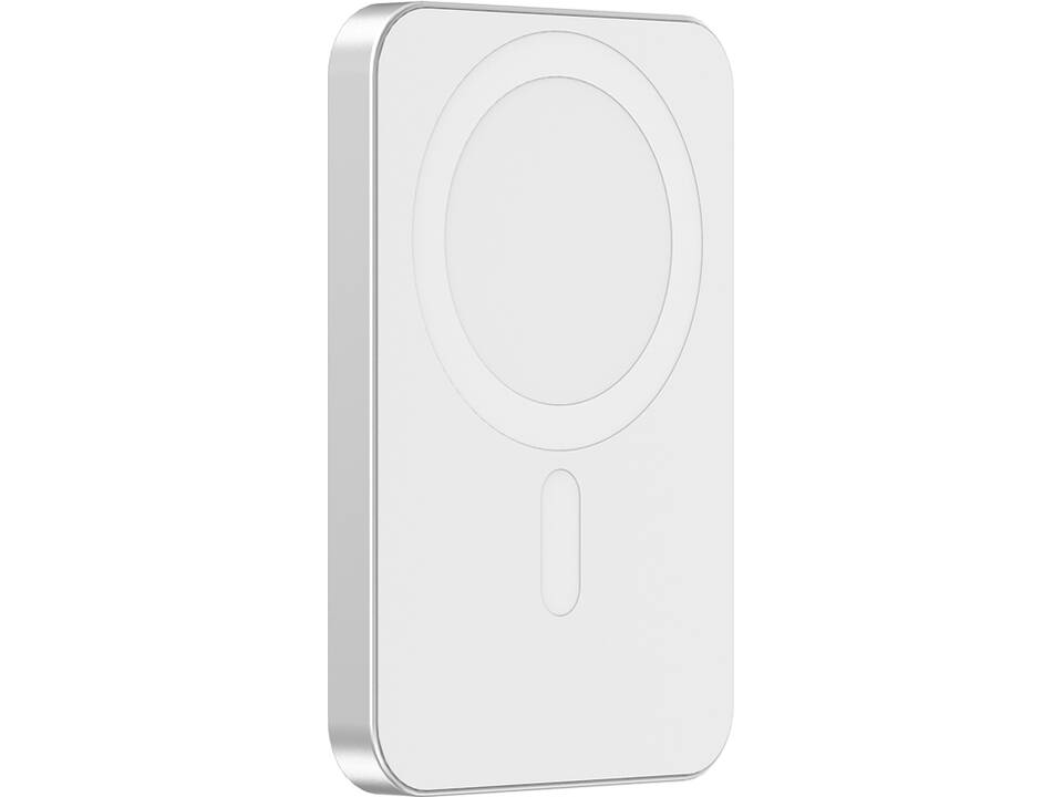 Urban Vitamin Malibu RCS plastic/alu 5000 mah powerbank 2