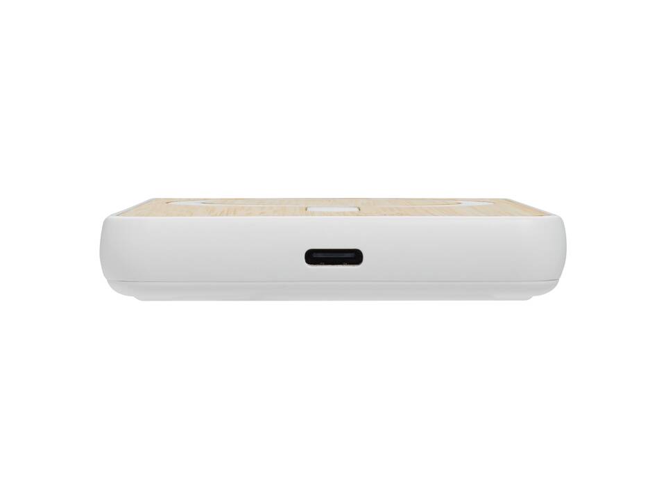 Zen RCS rplastic 5000 mah 5W magnetic bamboo powerbank 17