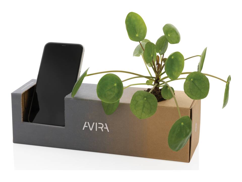 Avira Avior RCS Re-steel bottle 500 ML 12