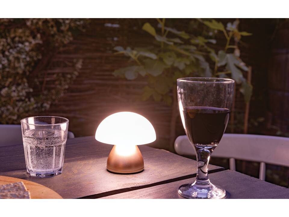 Luming RCS recycled plastic USB re-chargeable table lamp 23