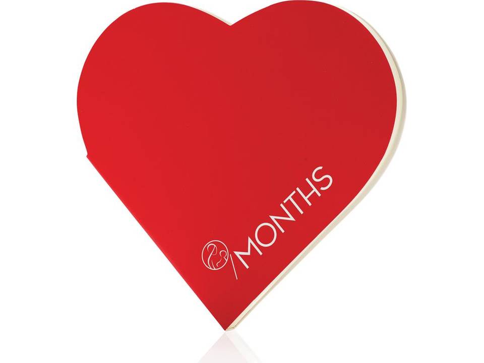 Heart shaped notebook 1