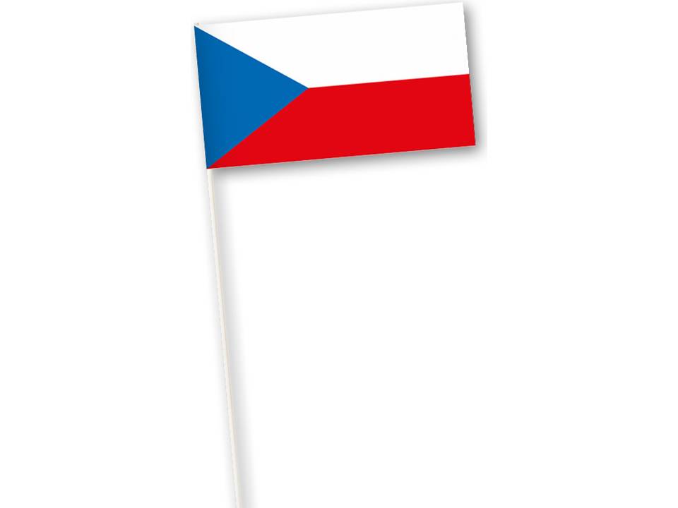 International Paper hand flags 3