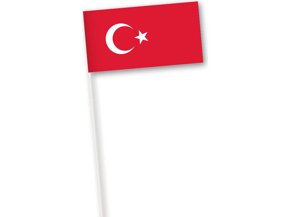 International Paper hand flags 13