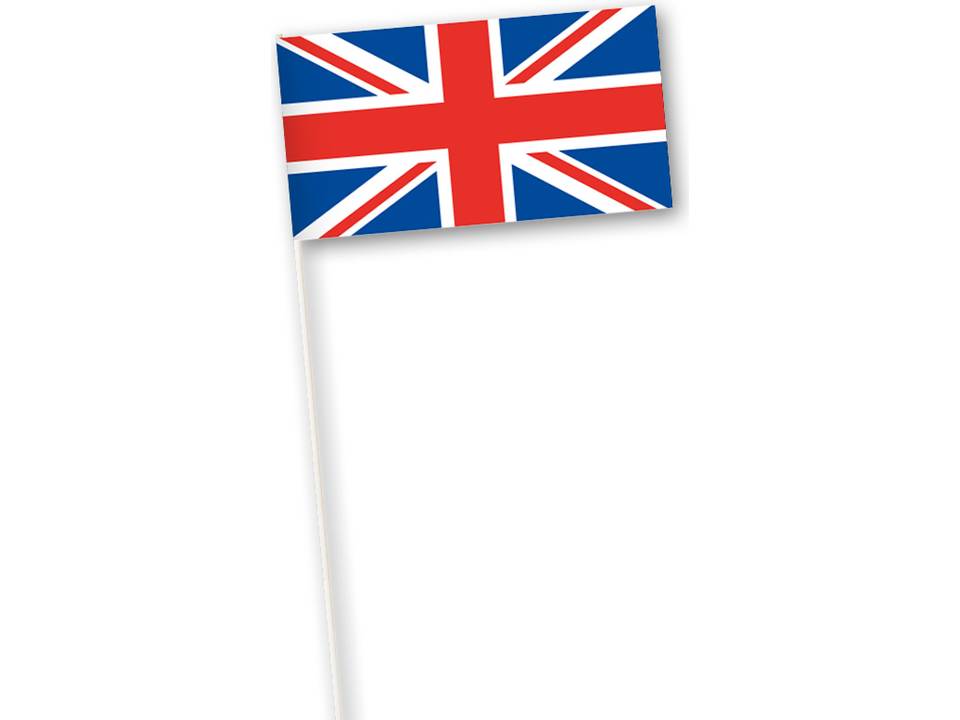 International Paper hand flags 7