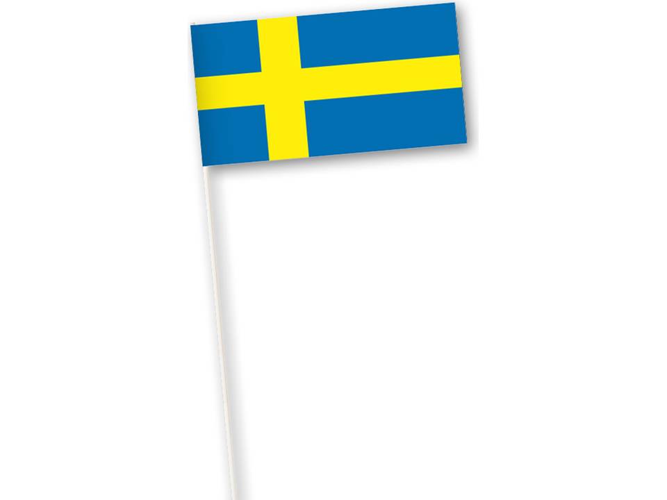 International Paper hand flags 20